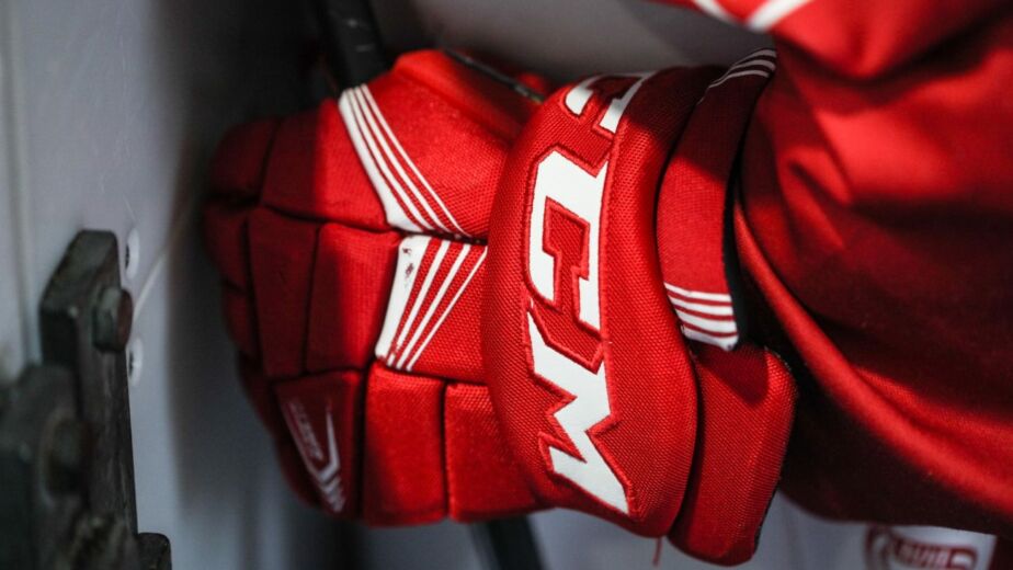 hockey, slavia, skater